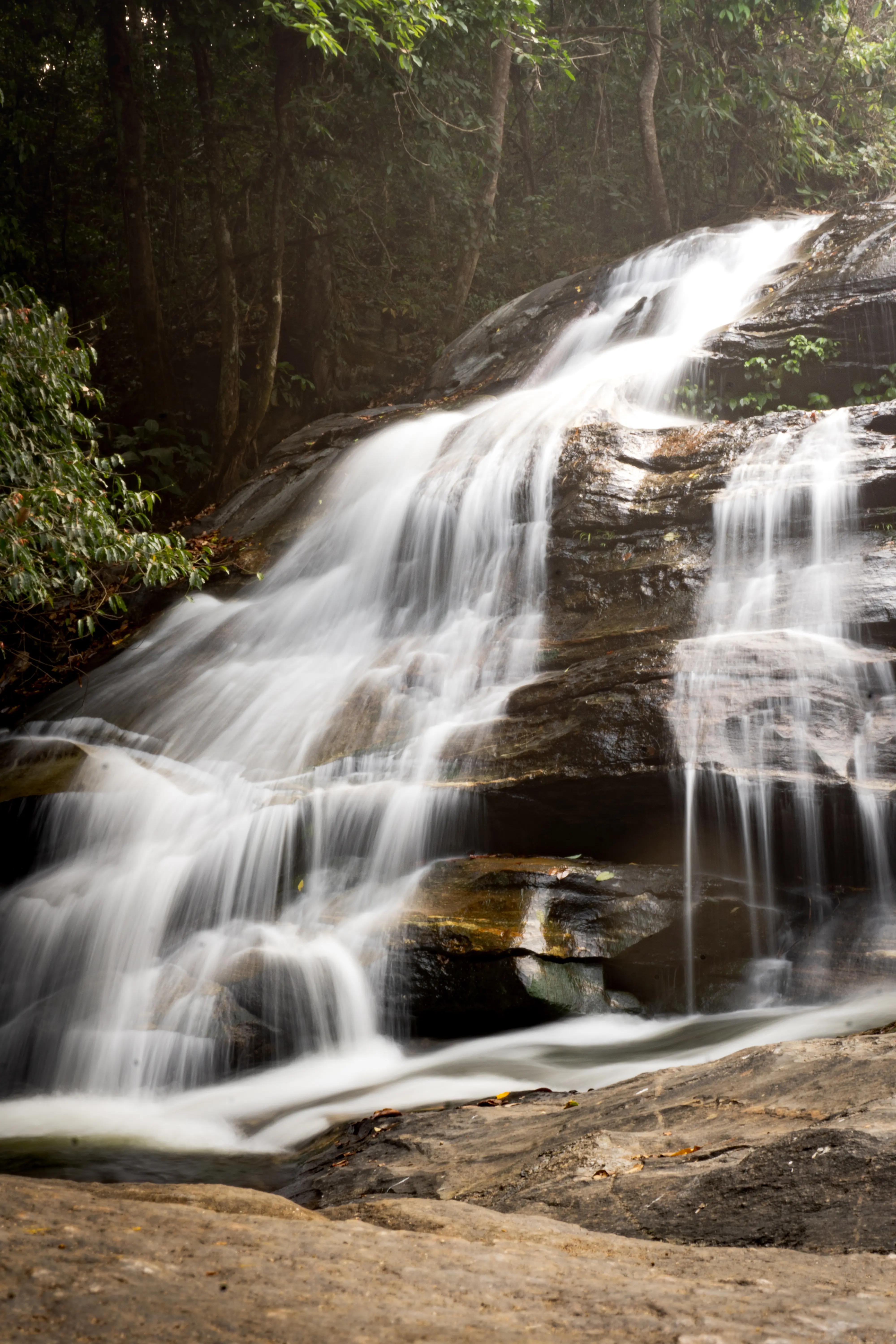 Portrait — Threshold