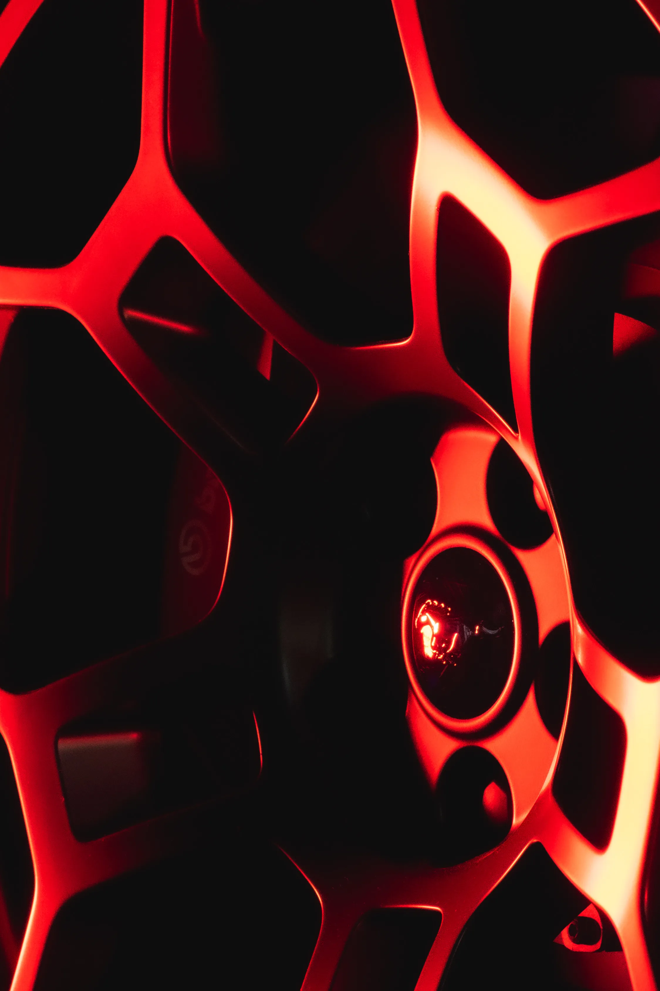 Portrait — Eclipse